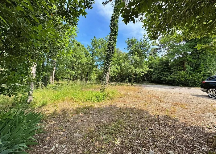 Apartment Scheich By Interhome